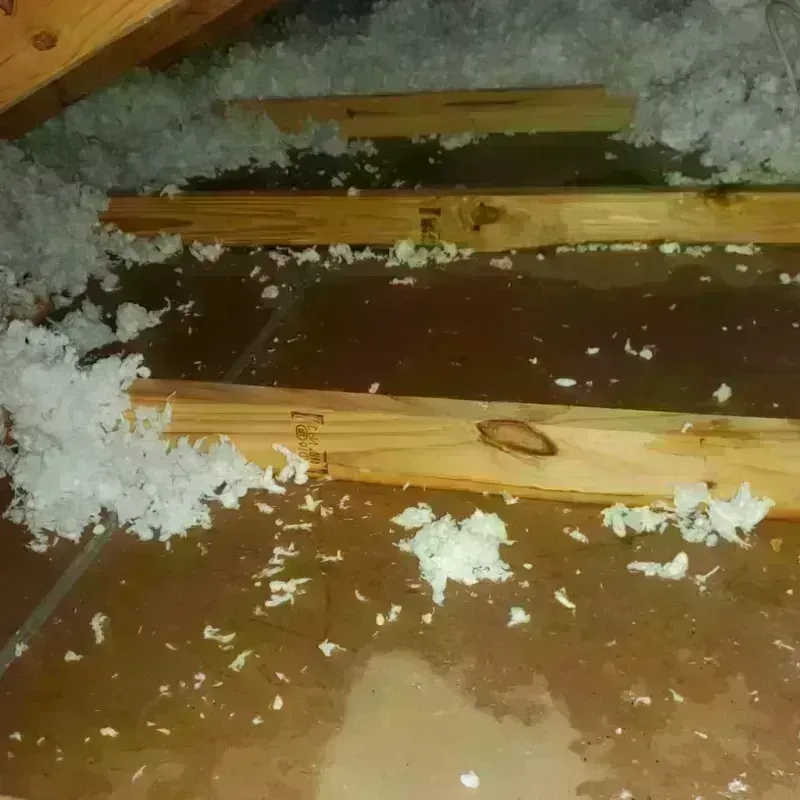 Attic Water Damage in Goliad, TX